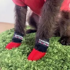 WANDAWAY 小型犬用ドッグシューズ レッド