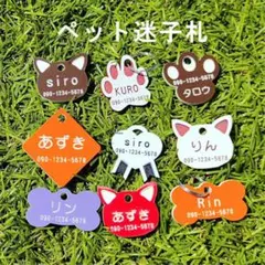 Item thumbnail for item 197a7e13-db17-451d-9a9e-8474a97a2aa2