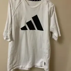 Item thumbnail for item 9759ca4a-d5e2-4f17-8923-c7a880e538cd