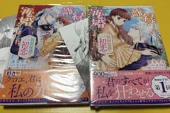離縁されました。再婚しました。 仮面侯爵の初恋