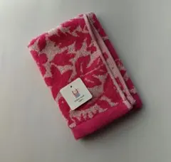 Item thumbnail for item a3694194-b82e-43b7-813e-e8c380885519