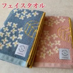 Item thumbnail for item 07896a26-cd1d-4fe8-9396-9ac576968be9