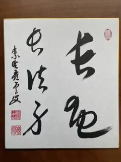緋櫻のお駒 上下巻セット 団鬼六 天野喜孝装画 緋櫻のお駒 上下巻セット 団鬼六 天野喜孝装画 - メルカリ