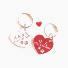 Item thumbnail for item 4a9e6d5c-c469-4d84-ab3e-df052db26f36