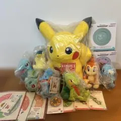 韓国限定 ピカチュウ 30周年 金メダル ぬいぐるみ ポケモンラン 参加者