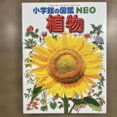 Item thumbnail for item 0813462e-e27f-41a3-88c3-f49b4451baf1