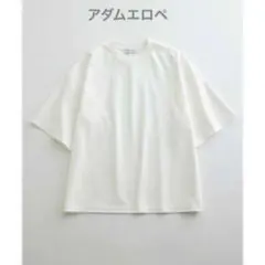 ADAM ET ROPE' ロイヤルクール オーバーサイズ Tシャツ M