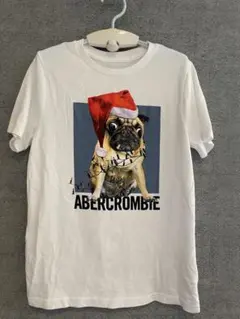 150 11/12y ABERCROMBIE サンタパグTシャツ pug