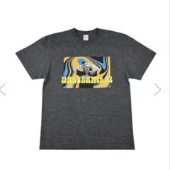 2026年最新】ハルカミライ tシャツの人気アイテム - メルカリ