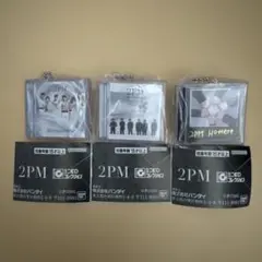 2PM ミニCDコレクション キーホルダー シークレット入り3種セット