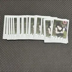 &TEAM K ケイ インスタントフォトカード 33枚セット
