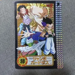ネコロボ様専用 孫悟空＆ベジータSSJ4 - メルカリ