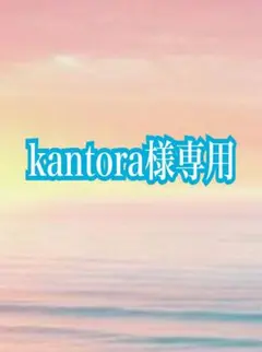 kantora様専用