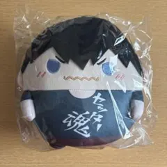 ハイキュー!! ふわコロりん　Mサイズ　影山飛雄　及川徹 ハイキュー!! ふわコロりん Mサイズ 影山飛雄 及川徹 - メルカリ