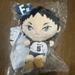 ハイキュー ぬいもっち