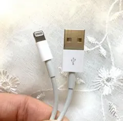 iPhone to USBケーブル USB＋ライトニング ホワイト白 1m❶