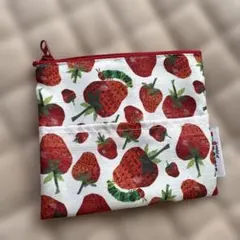 はらぺこあおむし♦️ポケットティッシュポーチ　イチゴのサムネイル