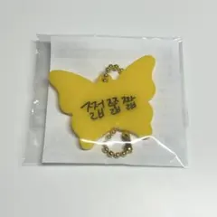 nctdream チョンロ ラントイ キーホルダー ドリショ4