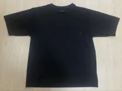 ザノースフェイス NT12447 ショートスリーブエアリーポケットティーTシャツ