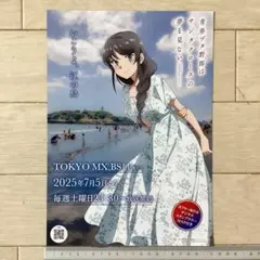 2026年最新】青ブタポスターの人気アイテム - メルカリ