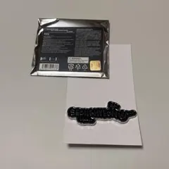 CORTIS PYPD JAPAN チェキ ソンヒョン インスタントフォトカード