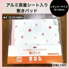 Item thumbnail for item 77788301-8b3d-4e17-868c-8af4d8cde275