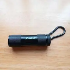 Item thumbnail for item ab887c7d-e4d5-4e56-a971-91b3fd637209