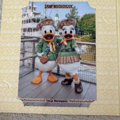 2025年最新】ウッドチャック デイジーの人気アイテム - メルカリ