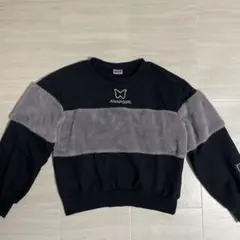 ANAP トレーナー