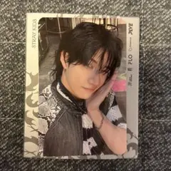 【DOIT】straykids スキズ　封入　トレカ　ラントレ　バンチャン