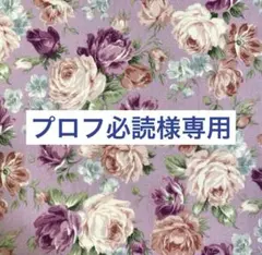 プロフ必読様専用　ファスナー付きバッグ　ハンドメイド