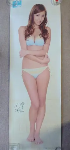 限界突破極限迄値下げしました/完売必死 橋本マナミ ⑦ 等身大ポスター