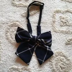 Item thumbnail for item 16aa4bb2-94d1-4e5c-a5fa-d4d19acbfdf3