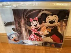 ディズニーリゾート　新品　実写ファスナーケース　2枚SET