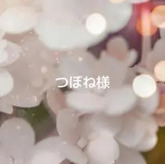 つぼね様 リクエスト 2点（4芽） まとめ商品