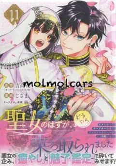 聖女のはずが、どうやら乗っ取られました(11)