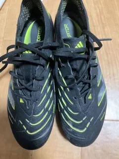 MIZUNO ミズノ スパイク イグニタス 22㎝ - メルカリ