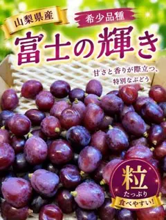 和歌山県産 希少品種♥️紫の梅‼️中玉サイズ 2kg みかんキング 家庭