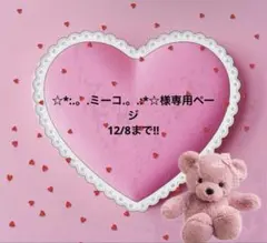 ☆*:.。.ミーコ.。.:*☆様専用ページ