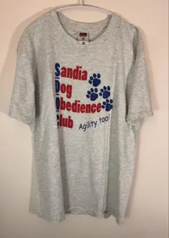 90s fruitof the loom Tシャツ Lサイズ グレー