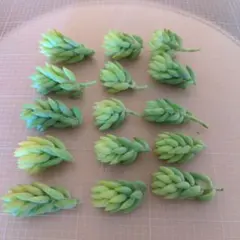 hatashuzo様 リクエスト 2点 まとめ商品