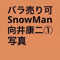 SnowMan向井康二 公式写真セット①（再出品）