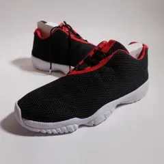 32/NIKE AIR JORDAN FUTURE LOW BRED