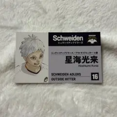 ハイキュー ファンパーク 名刺カード 星海光来