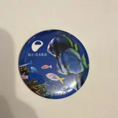 新江ノ島水族館 缶バッジ トロピカル水槽
