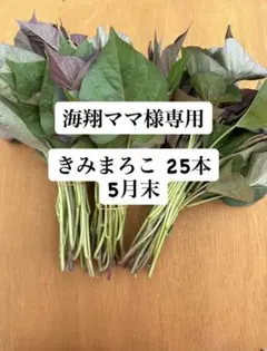 海翔ママ様専用 きみまろこ25本