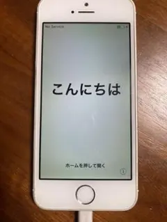 iPhone 5s シルバー16 GB docomo ドコモ