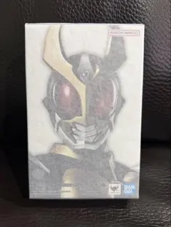 S.H.Figuarts 真骨彫　仮面ライダーアギト グランドフォームのサムネイル