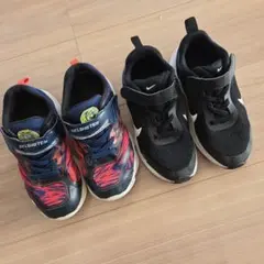 SKLISHTEK & Nike スニーカー 2足セット