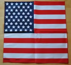 Item thumbnail for item 8cb654bd-6fd0-4177-bc65-8d2a3f4bdb78